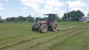 The Grove, Diamond NDC ensuring that the Grove Playfield is in tip top shape for this weekend's restart of the NAMILCO League.