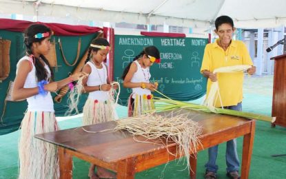 Amerindian Exhibition and Fair slated for the Walter Roth Museum