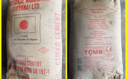 All is above board with Japanese cement deal – Minister Gaskin