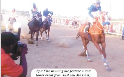 Shariff stable reigns as Spit Fire  smokes opponents at Best of the  Best President Cup meet