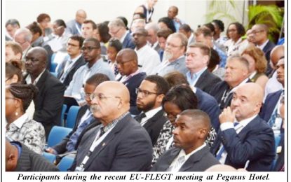 Guyana still has to close gaps in preparation for EU licensed timber