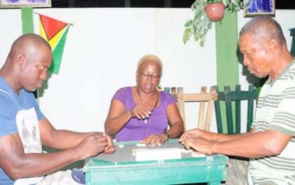 Bel Air Lions fund raising Domino Tournament receiving support