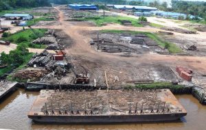 Barama’s BuckHall operations, Essequibo River, where its veneer and sawmilling plants are located.