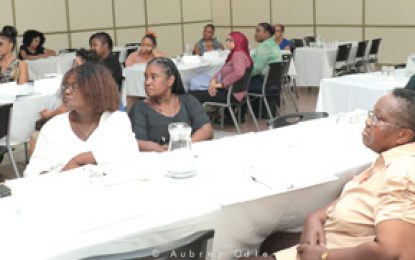 Ministry of Social Protection, Child Care Agency host Foster Care Seminar