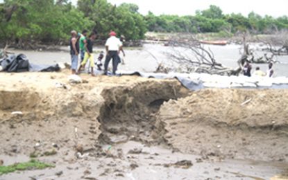 Breach in Unity sea-dam sparks fears of flooding