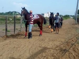 Animals of the Karibee Rice Stables with their handlers.