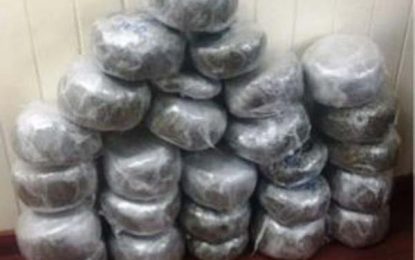 Cousins remanded for weed found in barrel