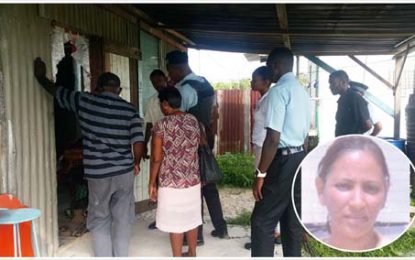 Cops allow relatives of missing woman to search shack