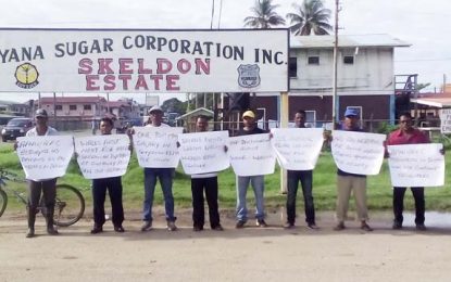 ‘Bonus-less’ sugar workers picket estates, Ministry of Presidency for pay increase