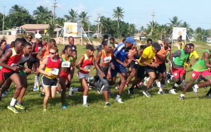 ‘Lindeners’ dominate familiar terrain at AAG Cross Country