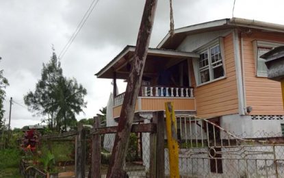 GPL ignoring pleas to remove rotting pole