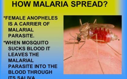 Over 9,000 cases of malaria recorded in 2016