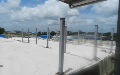 CJIA’s new arrival terminal for mid-year completion; runway is halfway finished