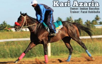 Kazi Azaria is back as top horses show good form for Guyana Cup Fever 2017