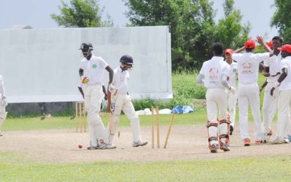 Hand-in-Hand Inter-County 3-day Cricket …Berbice prevail in low scoring encounter over Nat U-17s