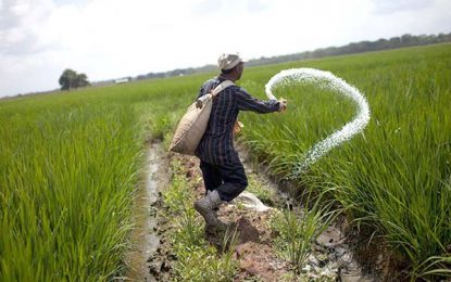 GRDB facilitates fertilizer credit to farmers