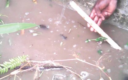 Despite investigation…Neighbour continues to flood policewoman’s home