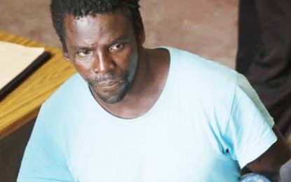 Vagrant gets three years for chopping friend