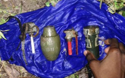 Grenades found in abandoned house at Linden