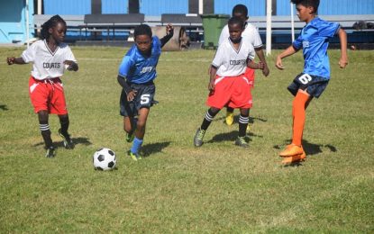 2017 Courts Pee wee football tournament off to a promising start