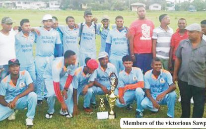 Sawpit CC claim WDCA T20 Title