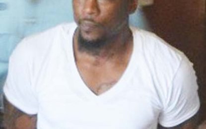 NY-based Guyanese remanded for guns and ammunition