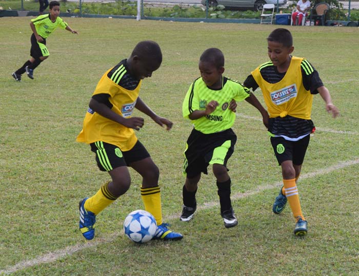 https://www.kaieteurnewsonline.com/images/2017/10/Tussle-between-two-Maes-Primary-players-and-one-from-St.-Stephens-yesterday.jpg