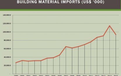 Imported building materials jump to US$115M