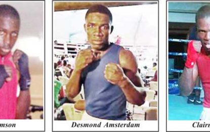 Local boxers for Jamaica