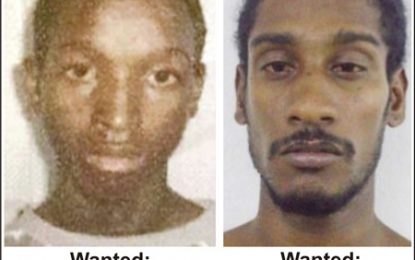 Efforts intensify to recapture two remaining prison escapees – Police Commissioner