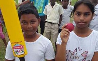 GCB Scotiabank Kiddy Cricket…Windsor Forest Primary, Hague Primary, MMZ Primary among victors