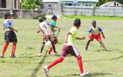 EBFA/Ralph Green U-11 League…Agricola and Grove to clash in tomorrow’s final following semi final triumphs