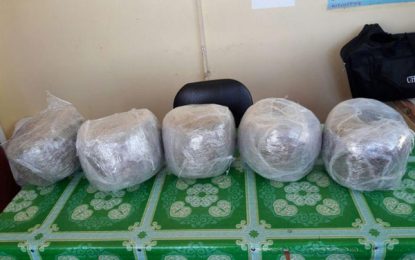 Ganja seized, driver arrested after car barrels  through roadblock