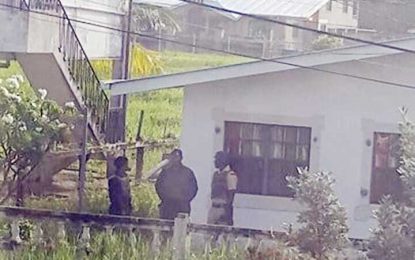 Cops raid Republic Park house