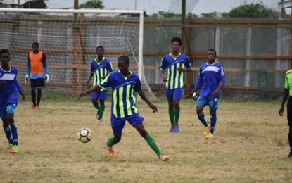 GFF Elite League Season III… Western Tigers top latest points standing – New Amsterdam United in last