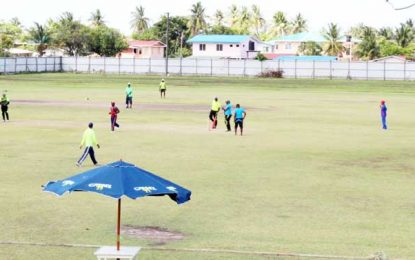 Felix Austin Police Training School B Division wins Commander Cup