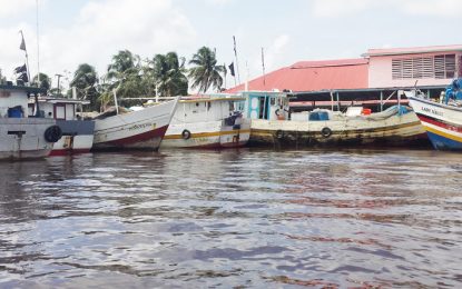 E’bo fishermen feeling brunt of catfish ban