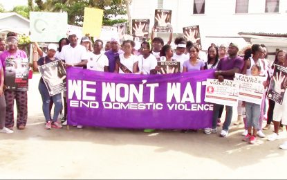 ‘End Domestic Violence’ echoed in youth march