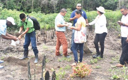 Ministry provides technical assistance to Moruca farmers