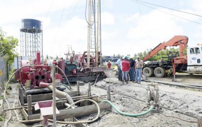 New well at Port Mourant, to be completed within a month