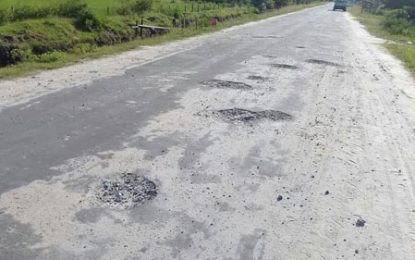 Onderneeming road starts to deteriorate while still under construction