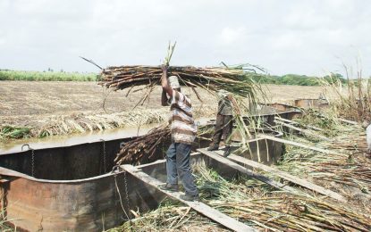 Closures of sugar estates… Unions consulted, Attorney General cannot represent GuySuCo- CCJ rules