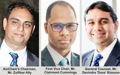 AmCham Guyana announces its Inaugural Board of Directors