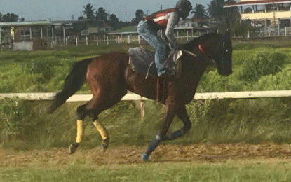 Guyana Cup 2018… All systems set for tomorrow