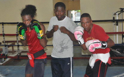 Boxer’s partners with GBBC to stage ‘Young Guns card next Saturday