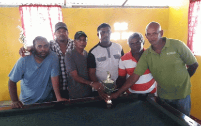 Big 6 capture Trophy Stall Dominoes title in Wakenaam