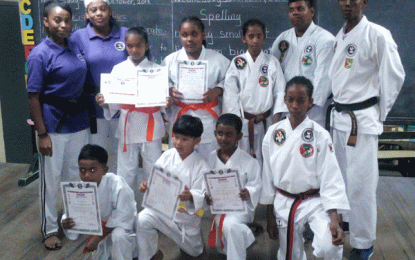 Vreed-en-Hoop Martial Arts Academy host successful examinations