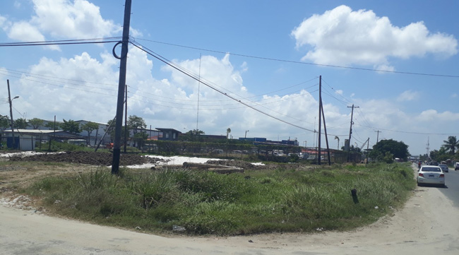 The saga of doing business in Guyana… City Council leases land, Lands