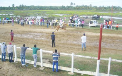 Isn’t She Charming takes feature event at Crawford Memorial Turf Club Meet