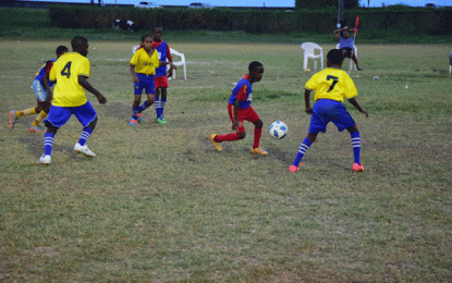 COURTS Peewee 2018… Defending champions West Ruimveldt to face St. Pius in final